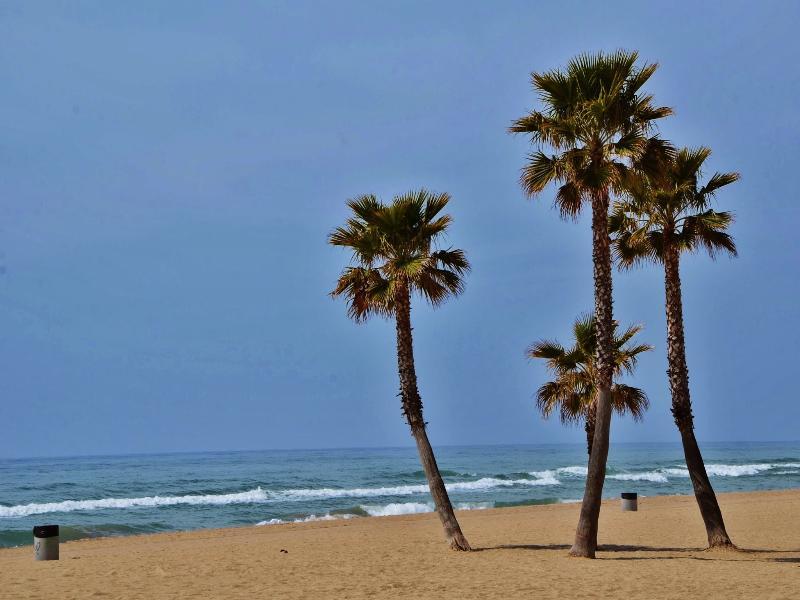 Camping Estival Vendrell Platja Coma-ruga Exterior foto